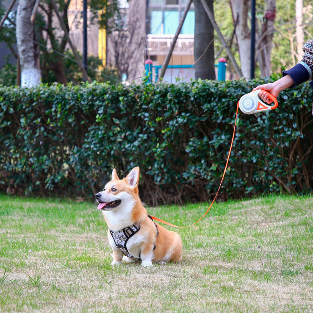 Retractable Dog Leash with LED Light