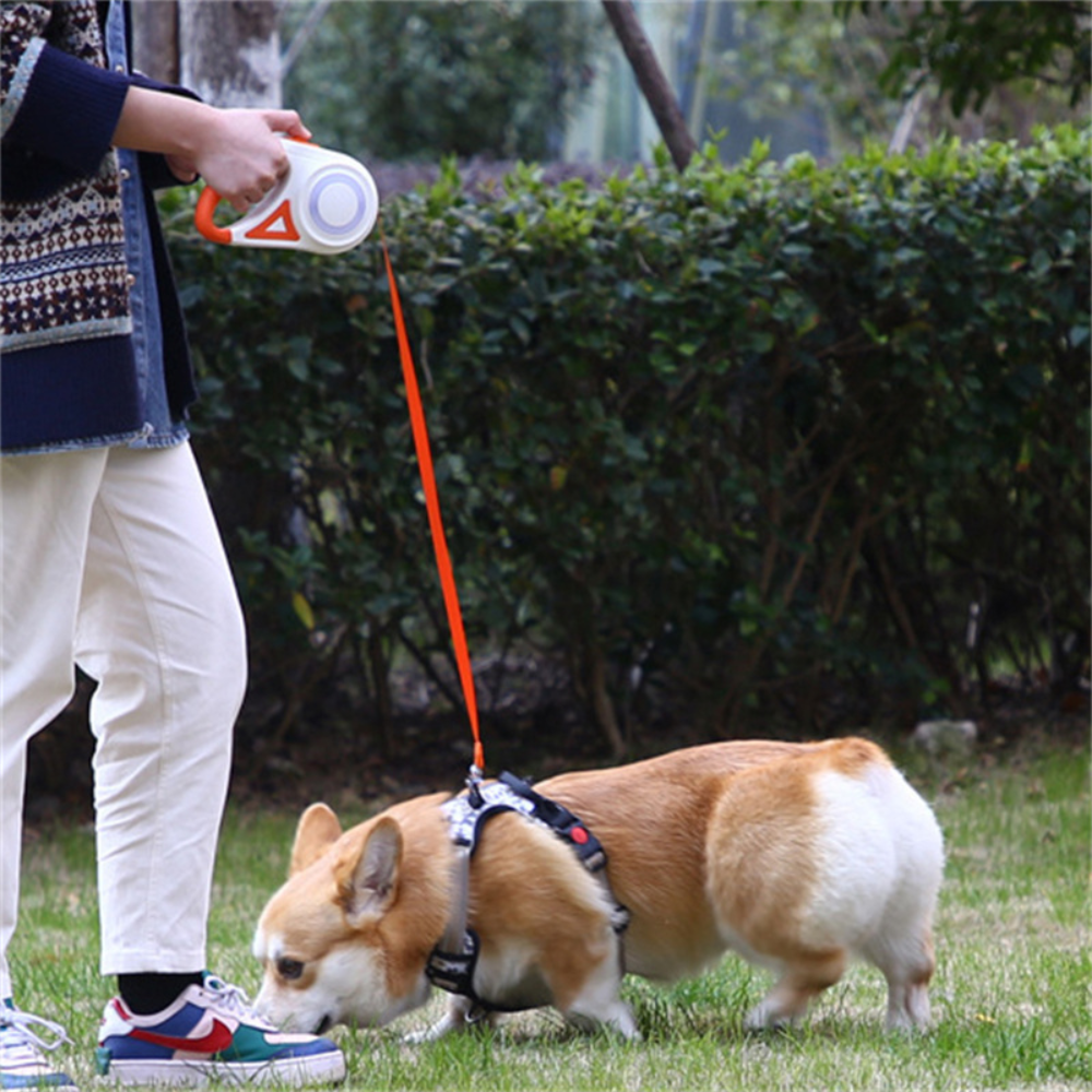 Retractable Dog Leash with LED Light