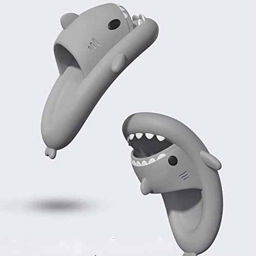 Shark Slides For Women And Men