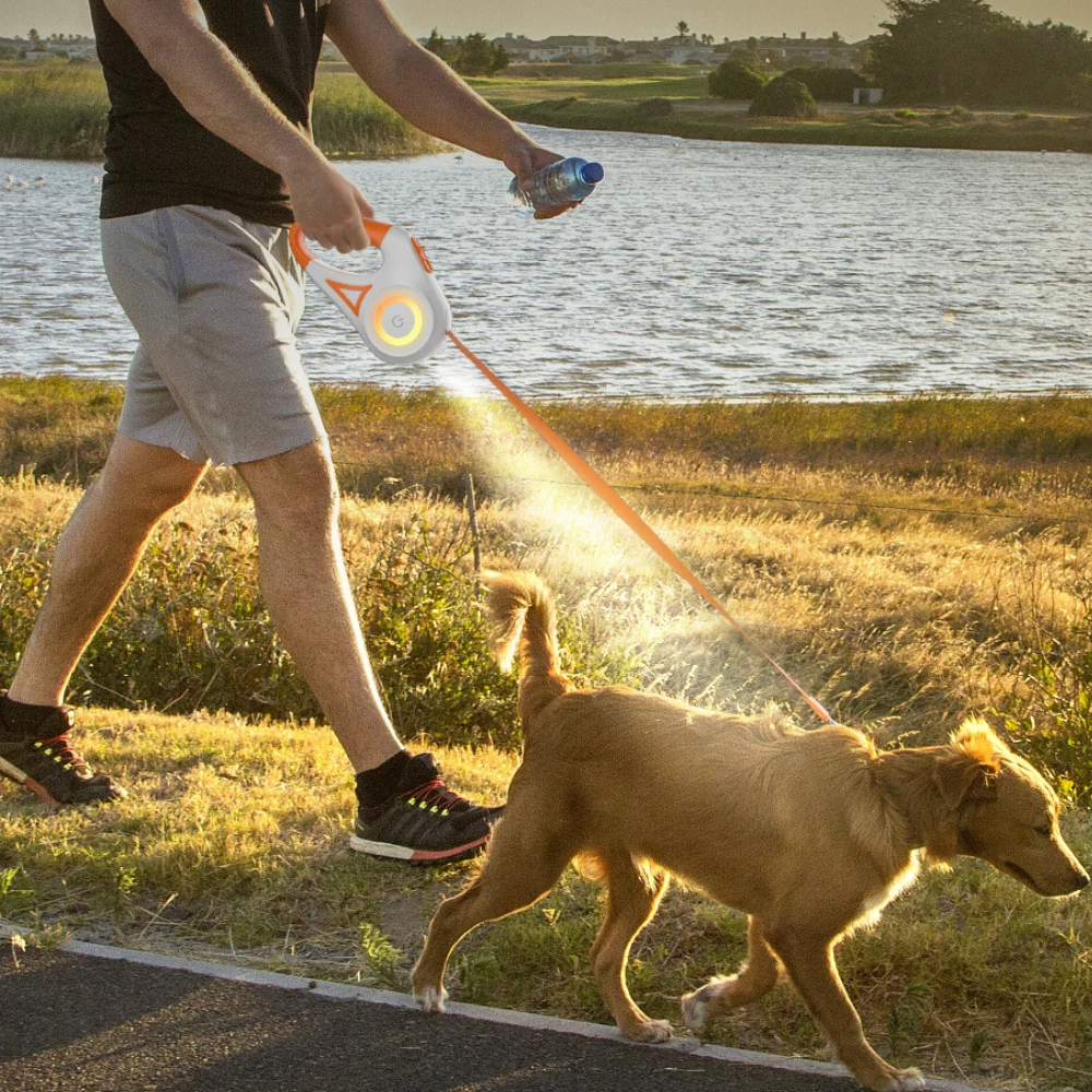 Retractable Dog Leash with LED Light