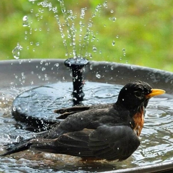 Solar Garden Fountain