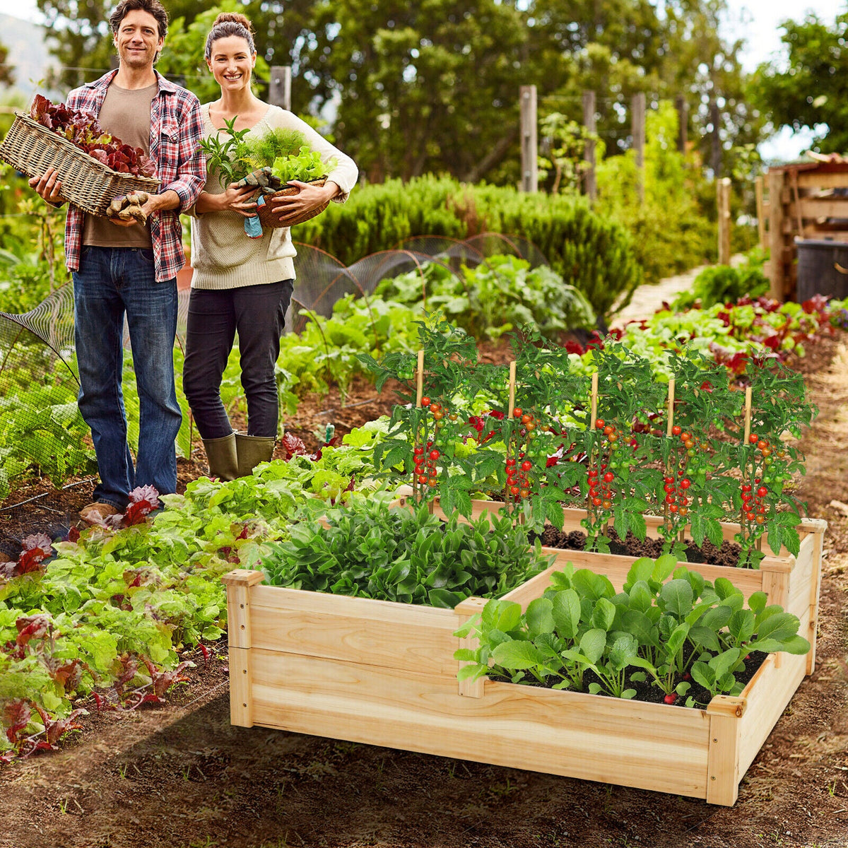 Raised Wooden Vegetable Herb Flower Garden Multi Planter Box