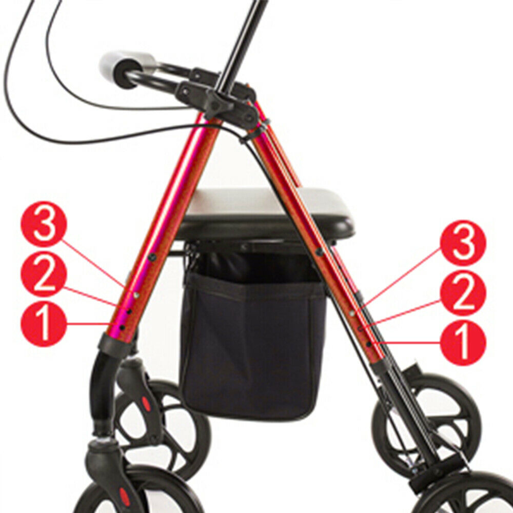 Upgraded Standing Senior Upright Walker