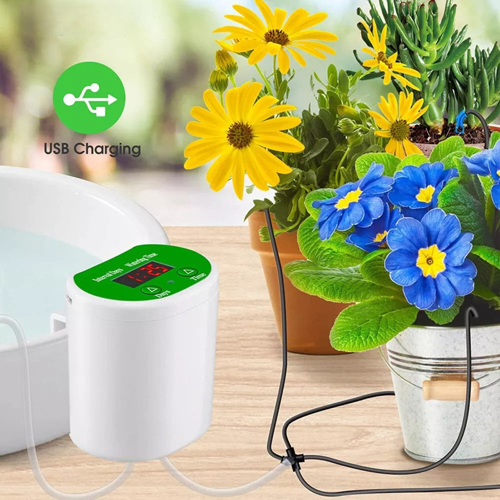 Automatic Watering For Plants