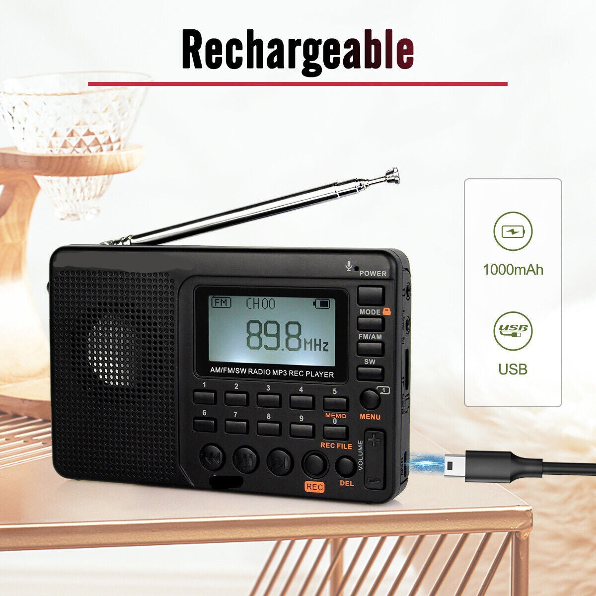 Digital Speaker Portable FM/AM SW Radio